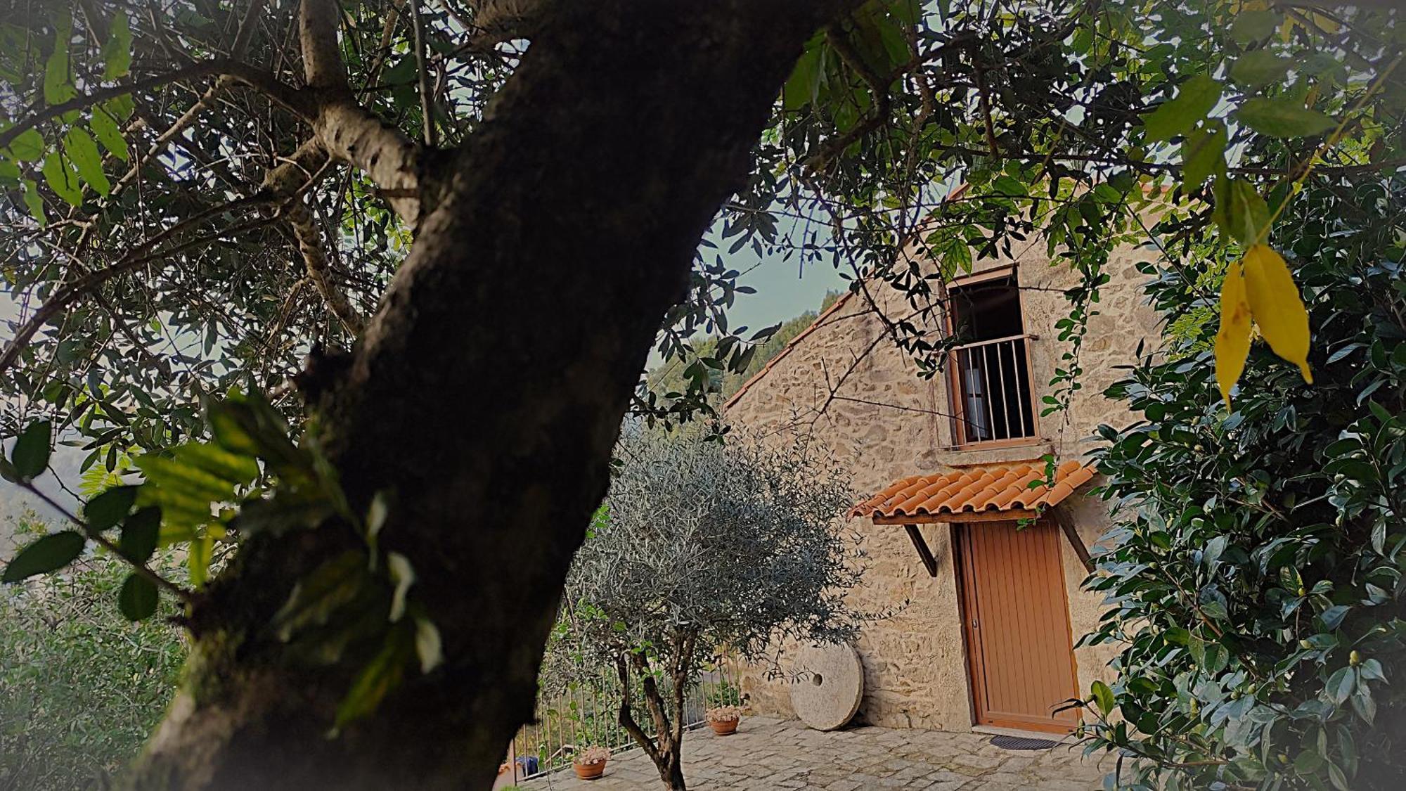 Villa Quinta Da Costeira Sever do Vouga Exterior foto