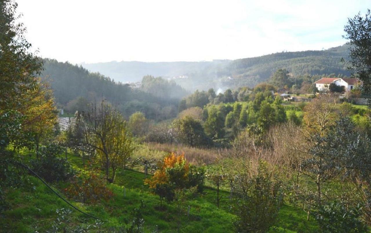 Villa Quinta Da Costeira Sever do Vouga Exterior foto