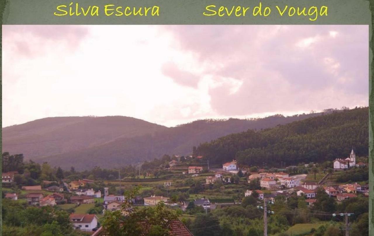 Villa Quinta Da Costeira Sever do Vouga Exterior foto