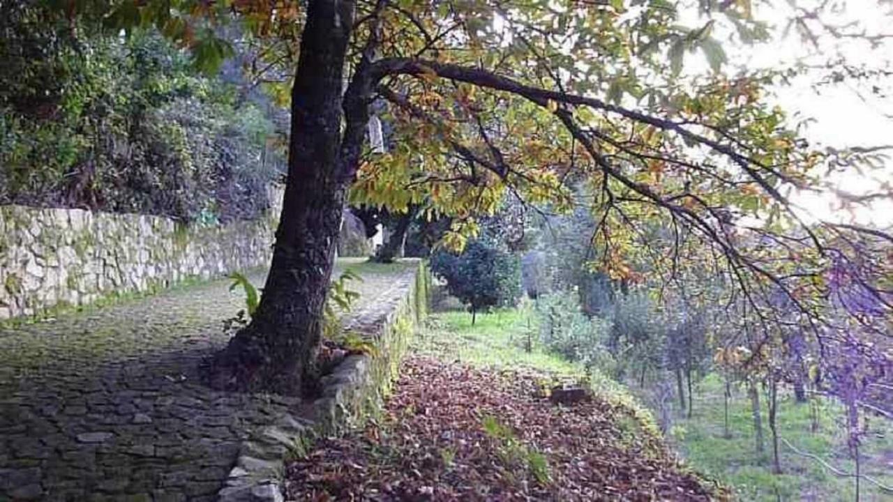 Villa Quinta Da Costeira Sever do Vouga Exterior foto